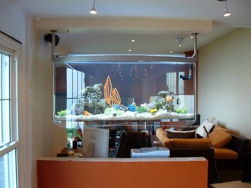 家庭鱼缸的摆放位置