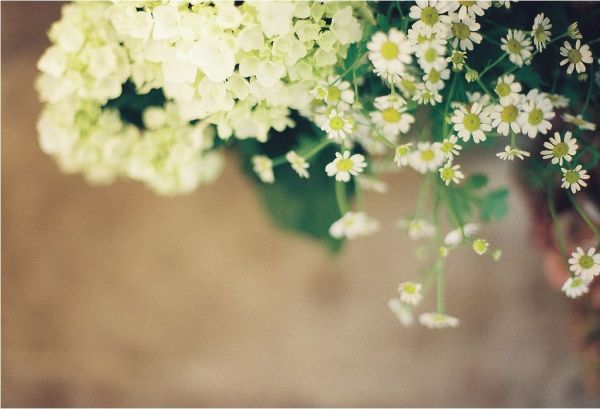 花饰风水 让你更优雅更美