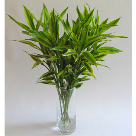 风水文化的案例知识